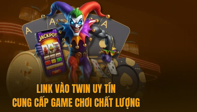 Link vào Twin 3 Các lưu ý quan trọng khi truy cập vào Twin